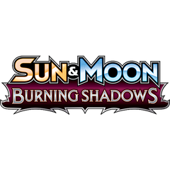 Burning Shadows
